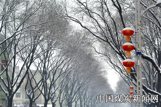 20170209113846214.JPG (550×366)